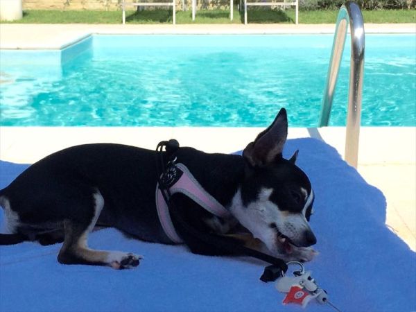 Grand Hotel Passetto - foto 30200.jpg