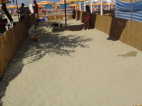 Bagno Wanda - foto 30298.jpg