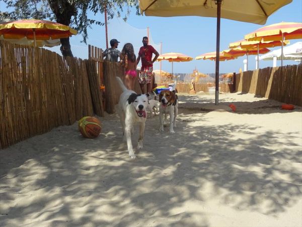 Bagno Wanda - foto 30302.jpg