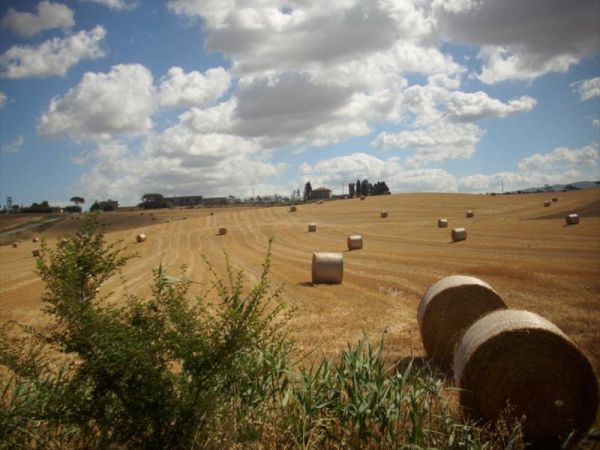 Agriturismo Pane e Vino - foto 30327.jpg