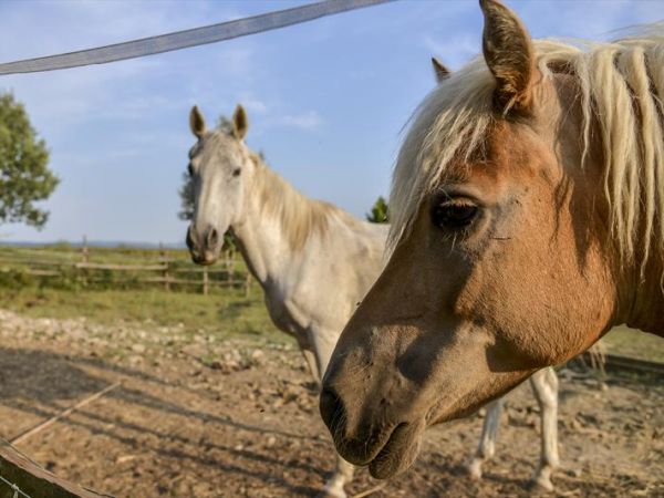 Casa di Campagna in Toscana - foto 30353.jpg