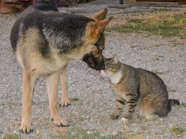 Casa di Campagna in Toscana - foto 30354.jpg