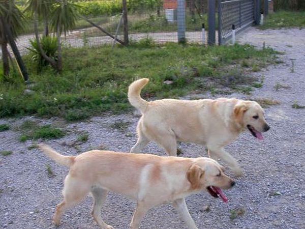 Country House Casale dOrio - foto 7735.jpg