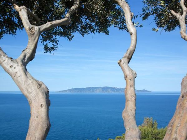 Hotel Torre di Calapiccola - foto 30392.jpg