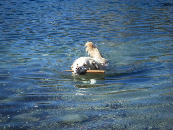 Hotel Albatros - foto 3810.jpg