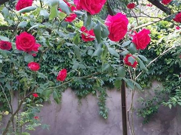 Residence in Centro - foto 30510.jpg