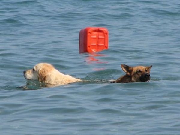 Bagni Capo Mele - foto 7578.jpg