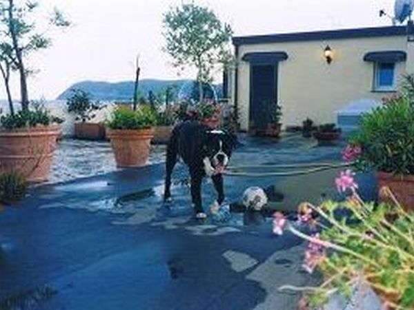 Hotel Badano Sul Mare  - foto 30565.jpg