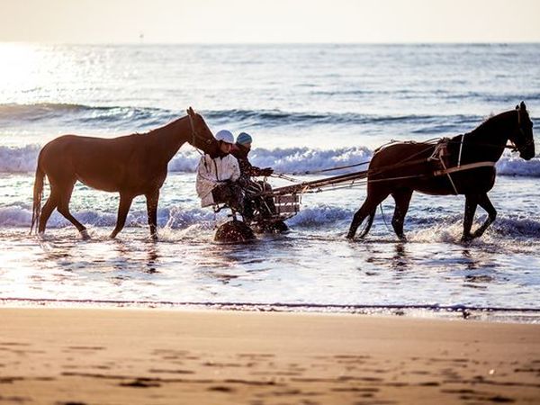 Hotel Badano Sul Mare  - foto 30566.jpg