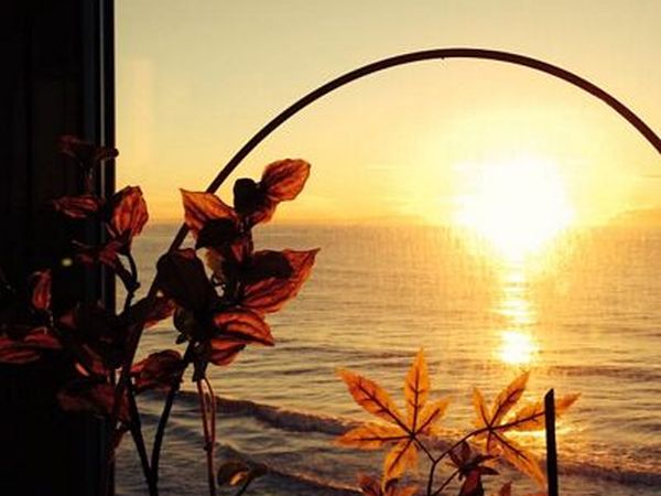 Hotel Badano Sul Mare  - foto 30575.jpg