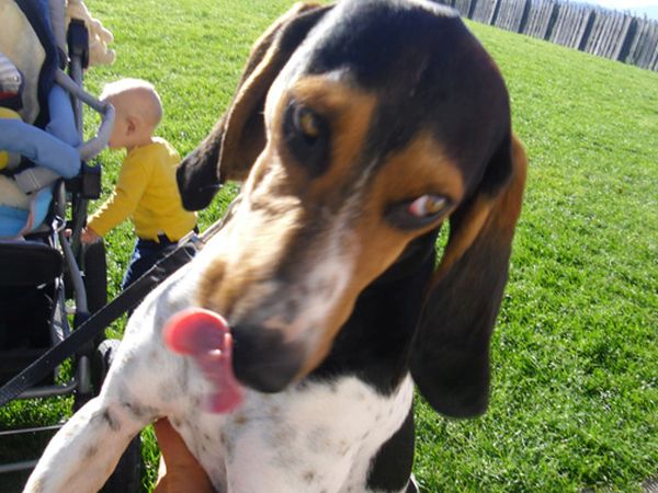 Hotel Naturidylle Geyrerhof - foto 30623.jpg