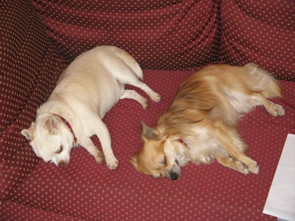 Hotel Naturidylle Geyrerhof - foto 30624.jpg