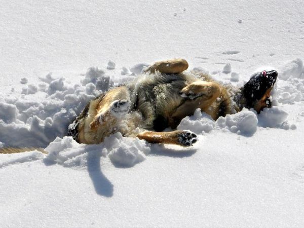 Hotel Montana - foto 30691.jpg