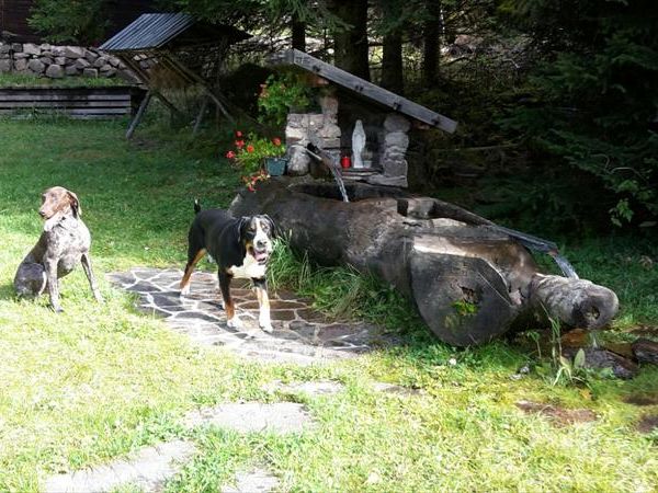 Baita el Deroch  - foto 30730.jpg