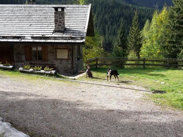 Baita el Deroch  - foto 30733.jpg