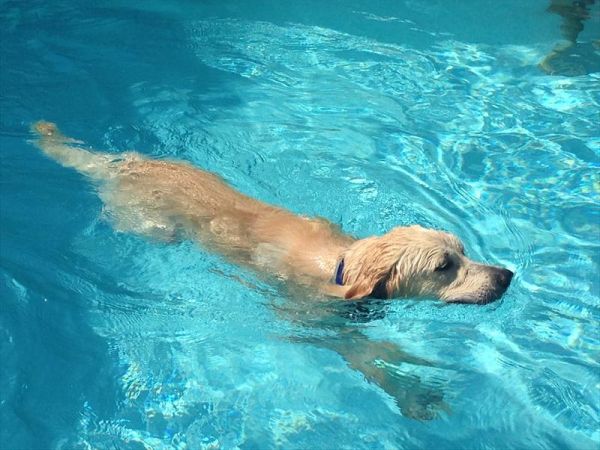 Hotel Virginia - foto 30897.jpg