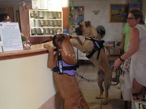 Hotel Virginia - foto 30899.jpg