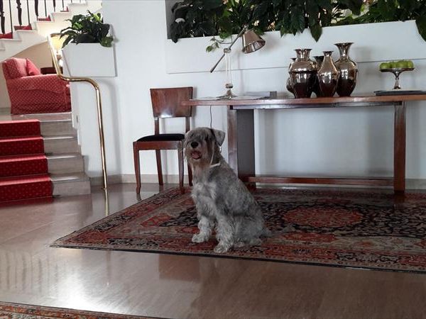 Grand Hotel Passetto - foto 31031.jpg