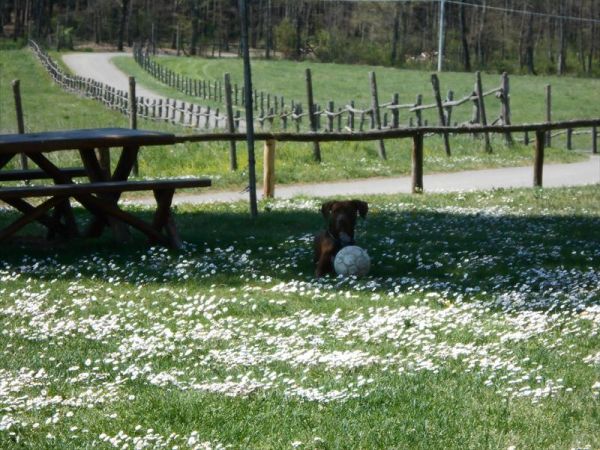 Agriturismo La Collina delle Stelle - foto 31065.jpg