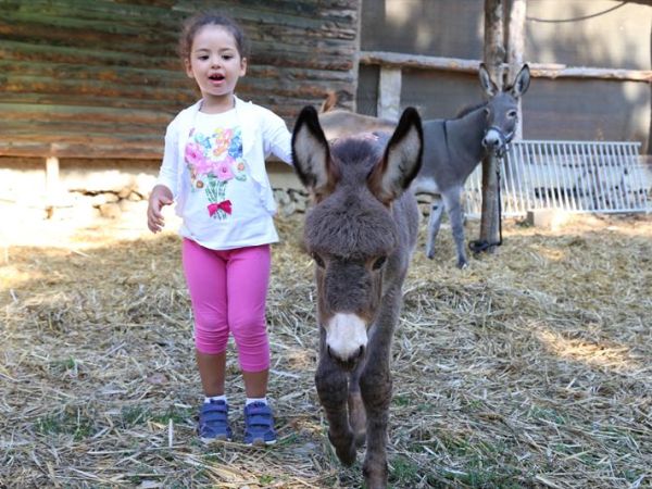 Agriturismo La Collina delle Stelle - foto 31067.jpg