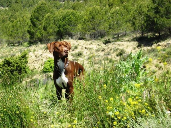 Agriturismo La Collina delle Stelle - foto 31073.jpg