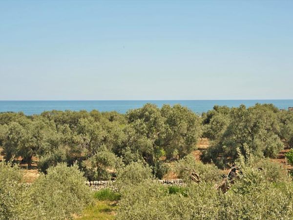 Masseria Spina Resort - foto 31109.jpg