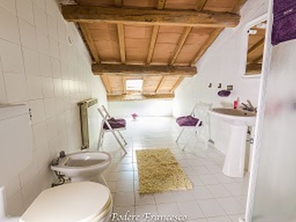 Podere Francesco  - foto 31135.jpg