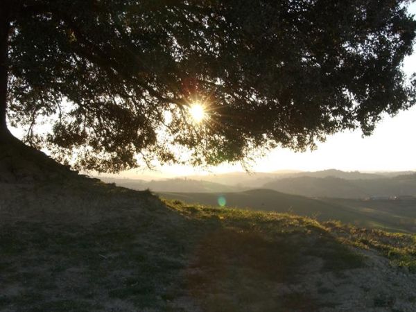 Fattoria Pieve a Salti - foto 31198.jpg