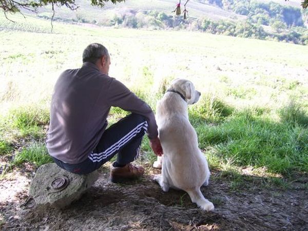 Fattoria Pieve a Salti - foto 31214.jpg