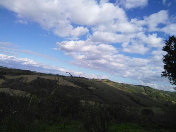 Fattoria Pieve a Salti - foto 31218.jpg