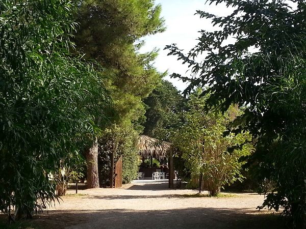 Camping Village Sentinella - foto 31321.jpg