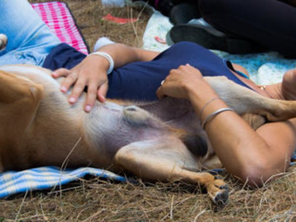 Agriturismo il Giardino - foto 31464.jpg