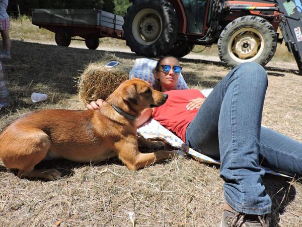 Agriturismo il Giardino - foto 31467.jpg