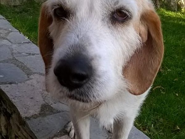 Il Fienile di Orazio - foto 31501.jpg