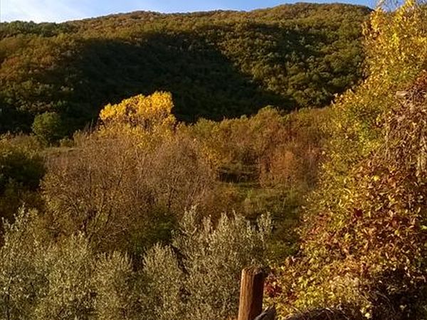 Il Fienile di Orazio - foto 31502.jpg