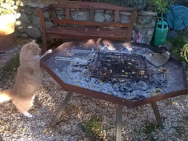 Il Fienile di Orazio - foto 31506.jpg