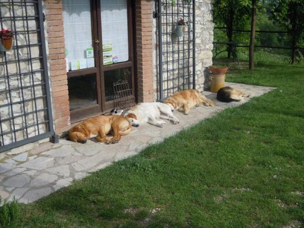 Il Fienile di Orazio - foto 31507.jpg