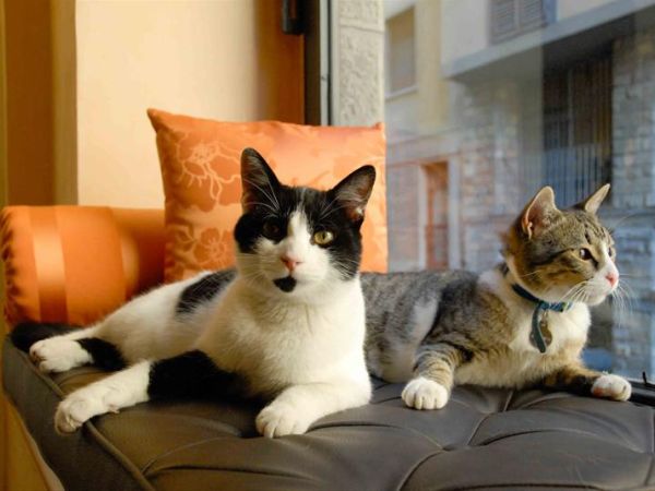 Hotel Pitti Palace al Ponte Vecchio - foto 31509.jpg