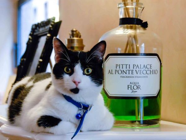 Hotel Pitti Palace al Ponte Vecchio - foto 31510.jpg