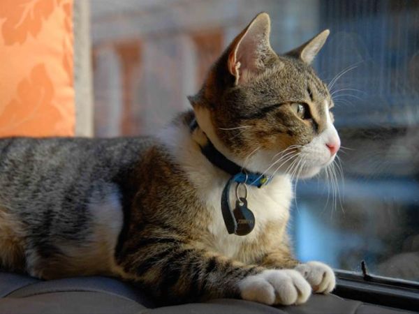 Hotel Pitti Palace al Ponte Vecchio - foto 31511.jpg