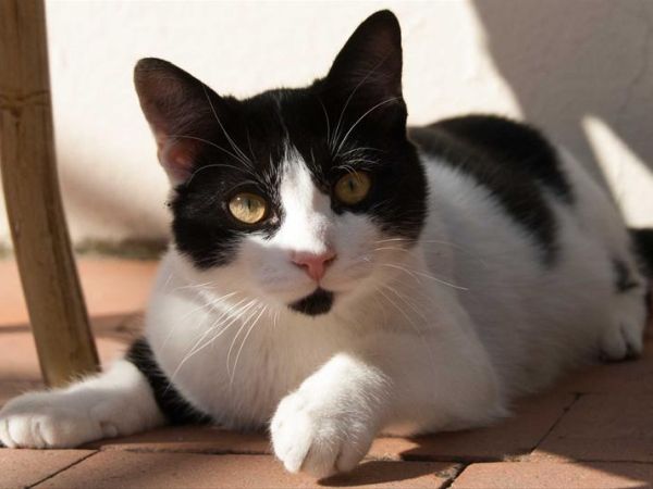 Hotel Pitti Palace al Ponte Vecchio - foto 31512.jpg