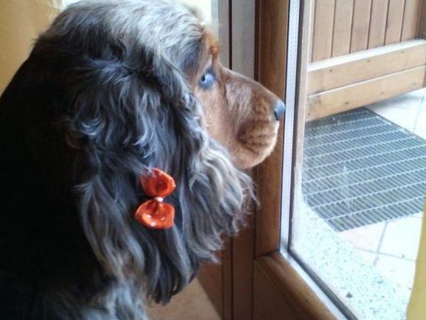 Casa Domitilde a Sal sul Lago di Garda - foto 31686.jpg