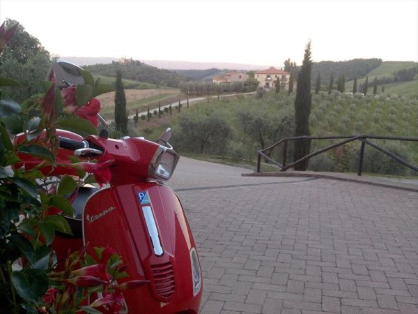 Fattoria Voltrona - foto 31876.jpg