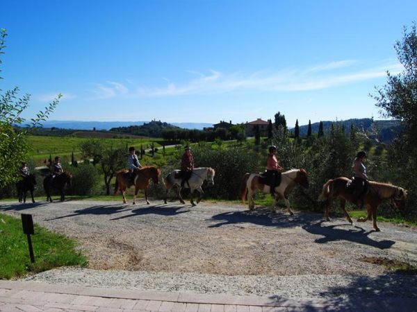 Fattoria Voltrona - foto 31877.jpg