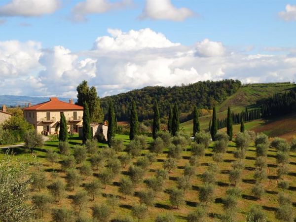 Fattoria Voltrona - foto 31879.jpg