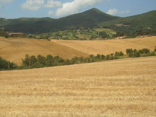Agriturismo Pane e Vino - foto 31893.jpg