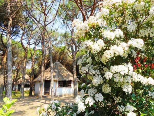 Mare Blu - foto 32144.jpg