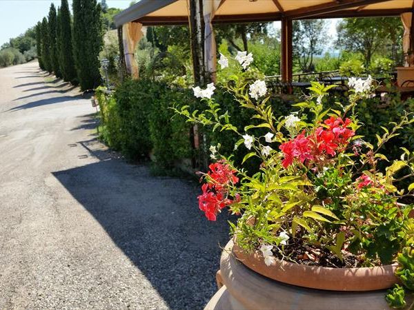 Country House Torre Burchio - foto 32152.jpg