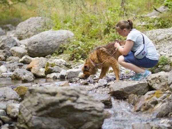 Spiaggia per Cani al Lago di Ledro - foto 32216.jpg