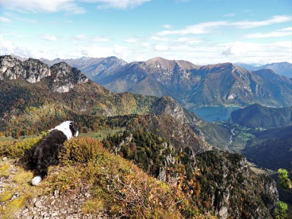 Spiaggia per Cani al Lago di Ledro - foto 32221.jpg